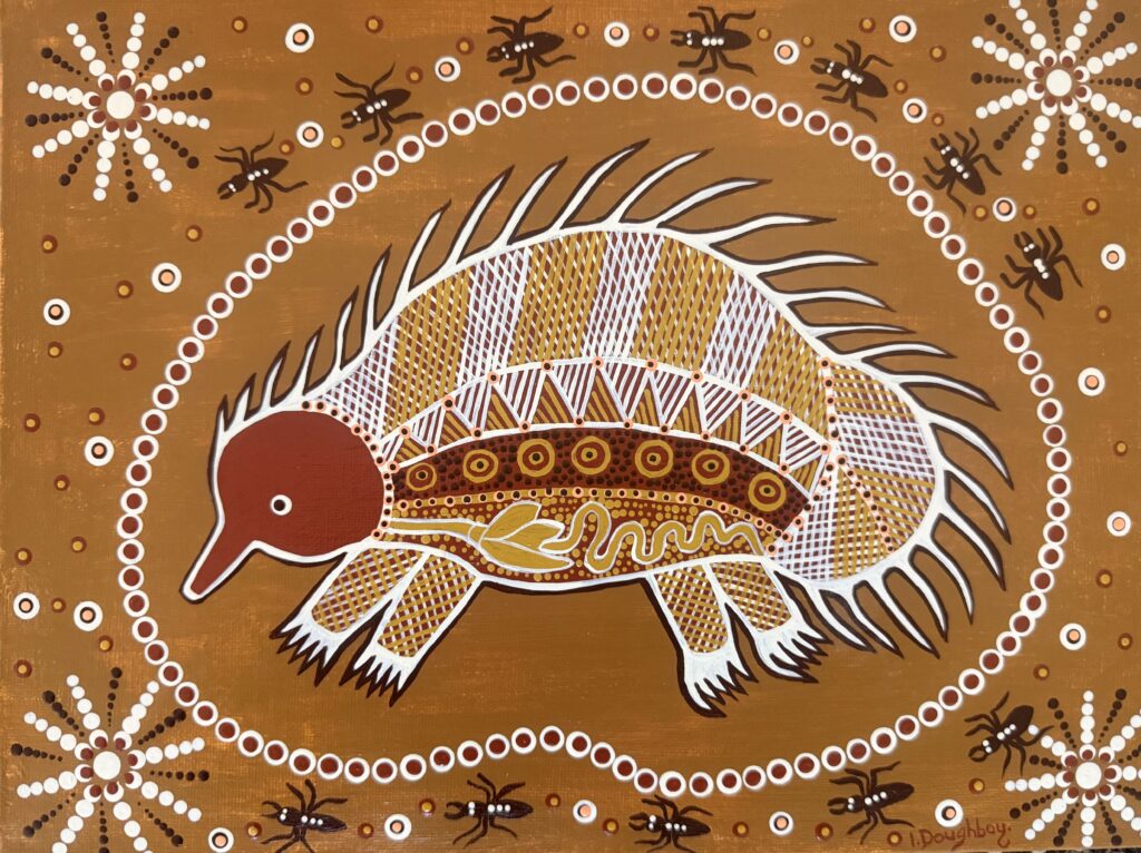 Echidna - Painting - Irene  Bowyer