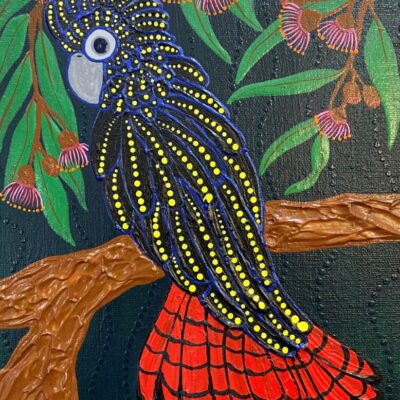 Black Cockatoo - Painting - Larissa Hale