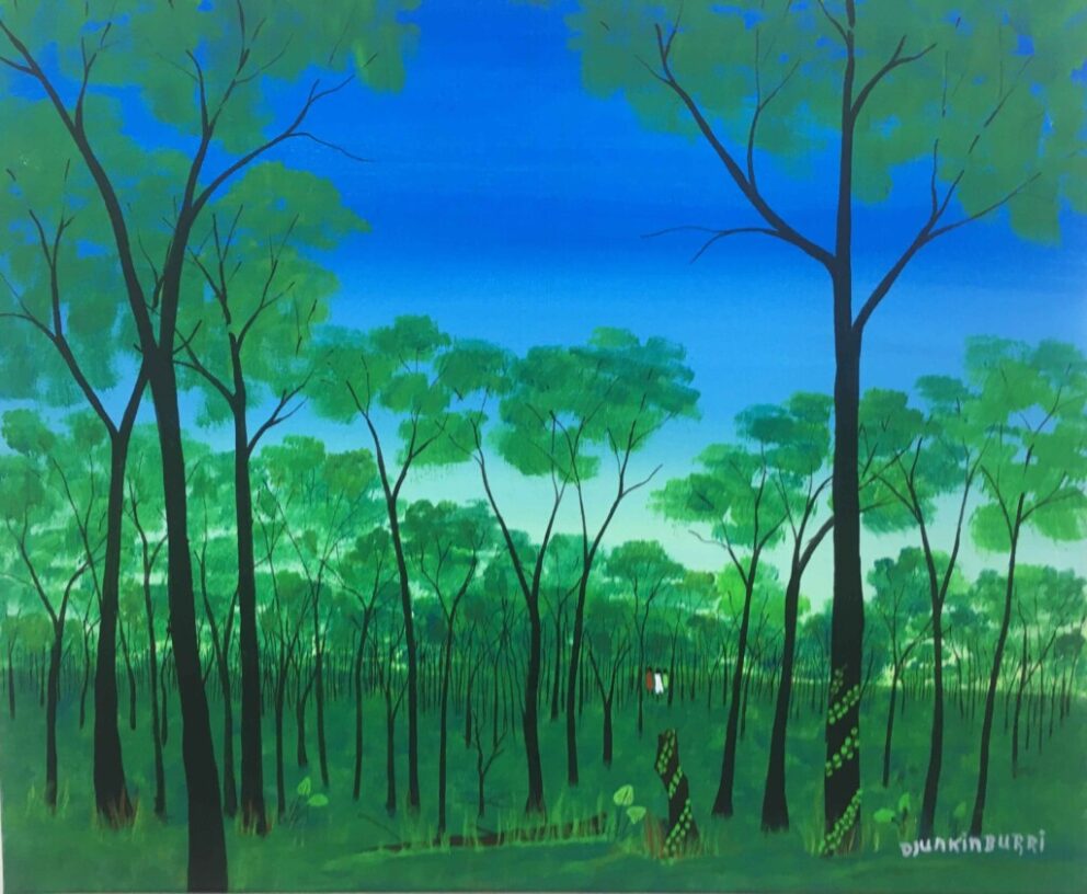 Landscape (Medium) Djunkinburri - Painting - James  Archer